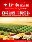 样本 标志 画册 图标 商业