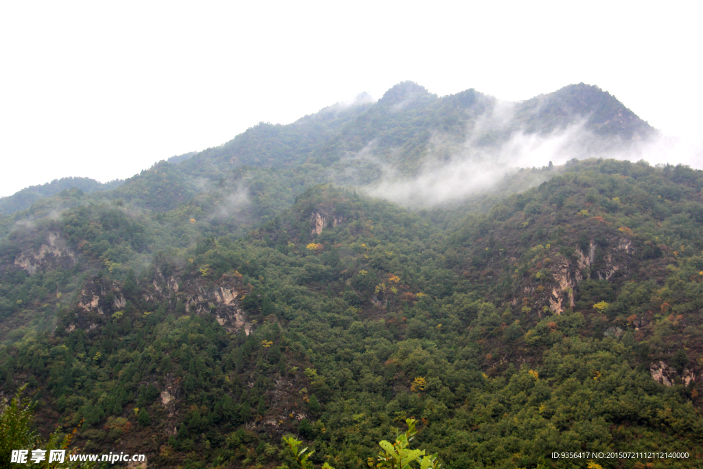 雨后 自然风景