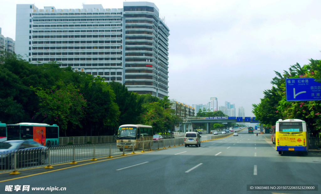 城市建设 交通绿化