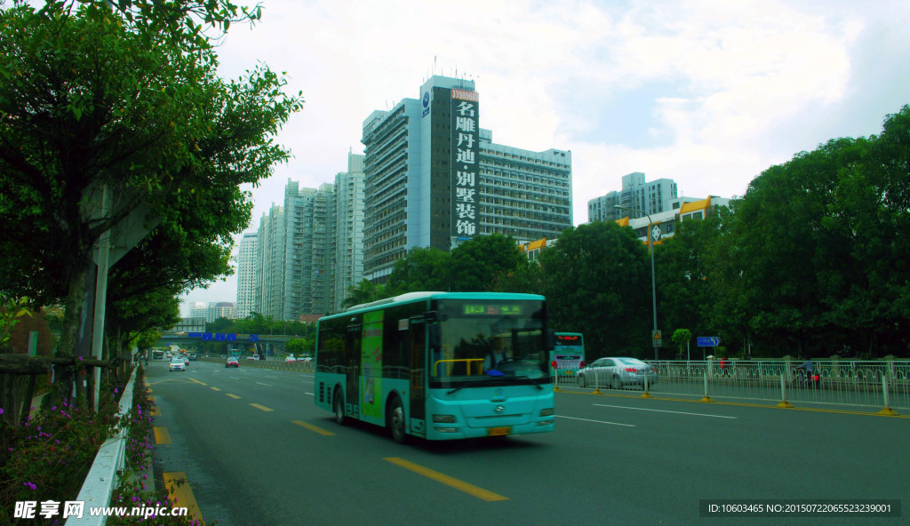 城市建设 交通绿化