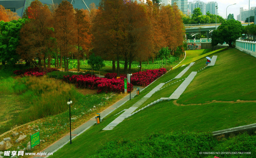 城市生态 彩色园林