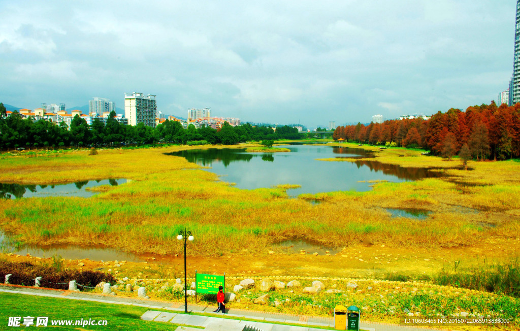 城市生态 彩色园林