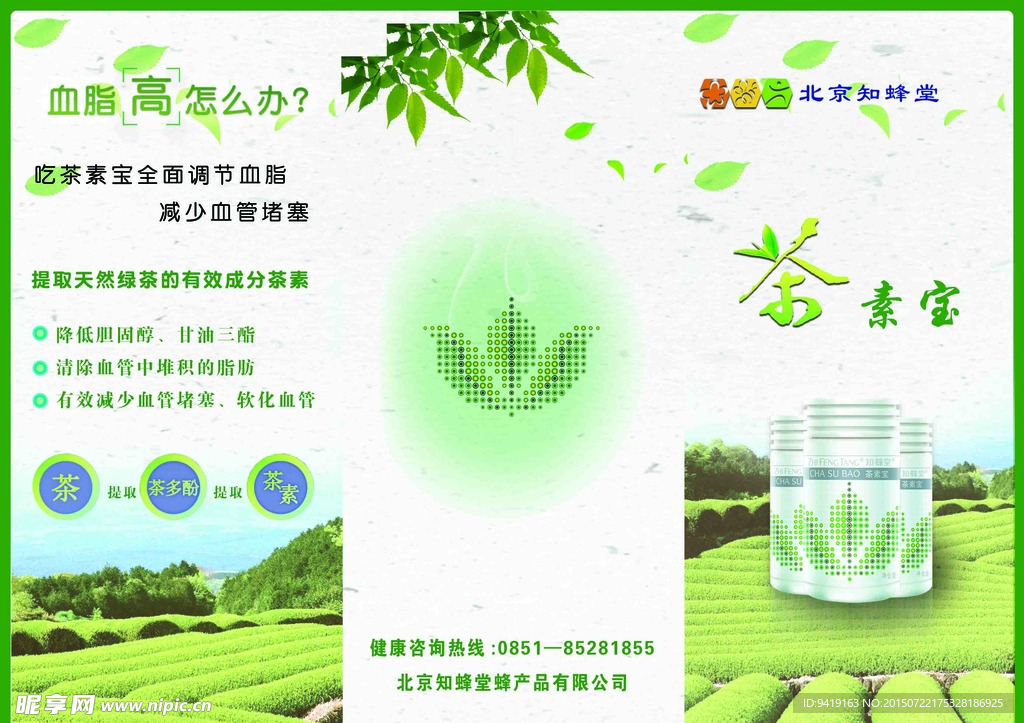 茶素宝折页