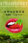 草莓海报