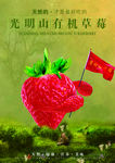 草莓海报