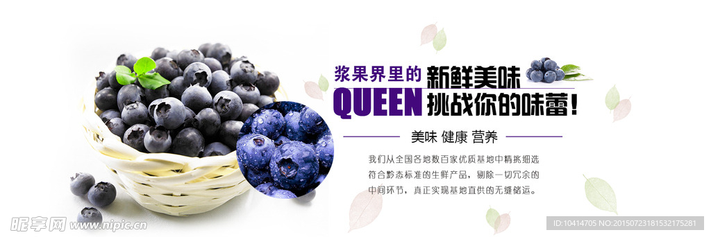 蓝莓轮播图