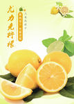 柠檬
