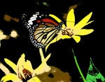 手绘风格 蝴蝶 黄色花朵