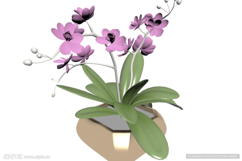 花卉