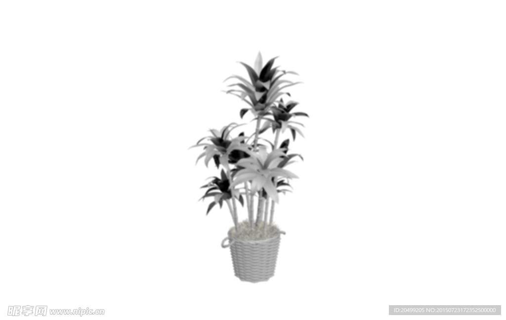 花钵