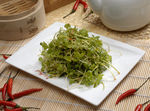 美味芹菜芽