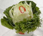 青菜组合