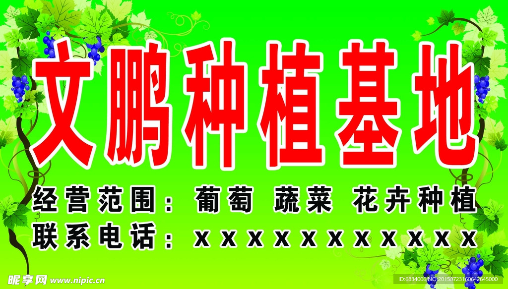 葡萄种植基地