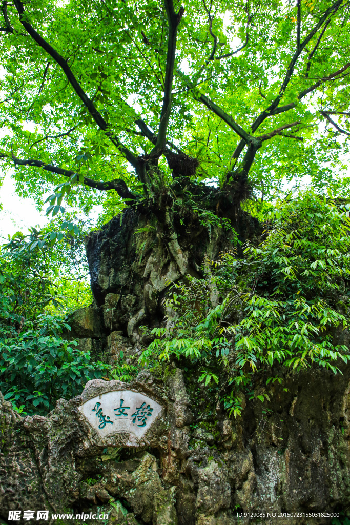 天星桥景区