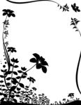 花边框矢量图