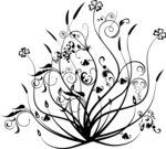 开放的花纹矢量图