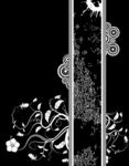 白花纹边框矢量图
