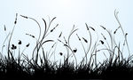 草丛矢量图
