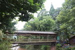自然风景