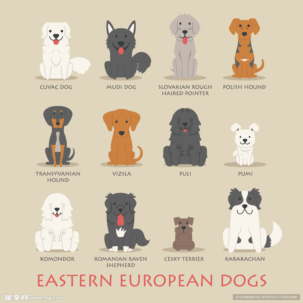 东欧宠物狗设计