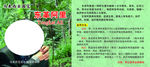 药材瓶贴