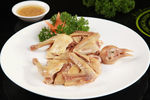 盐锔鸽子