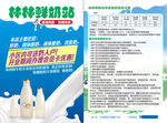 鲜奶传单