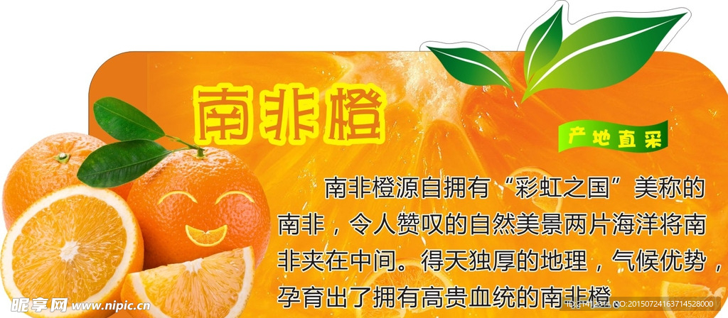 脐橙异型牌
