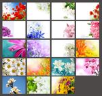 鲜花PPT