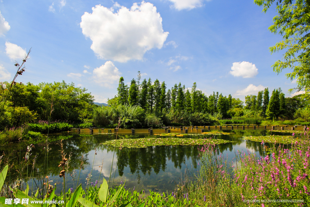 西溪湿地