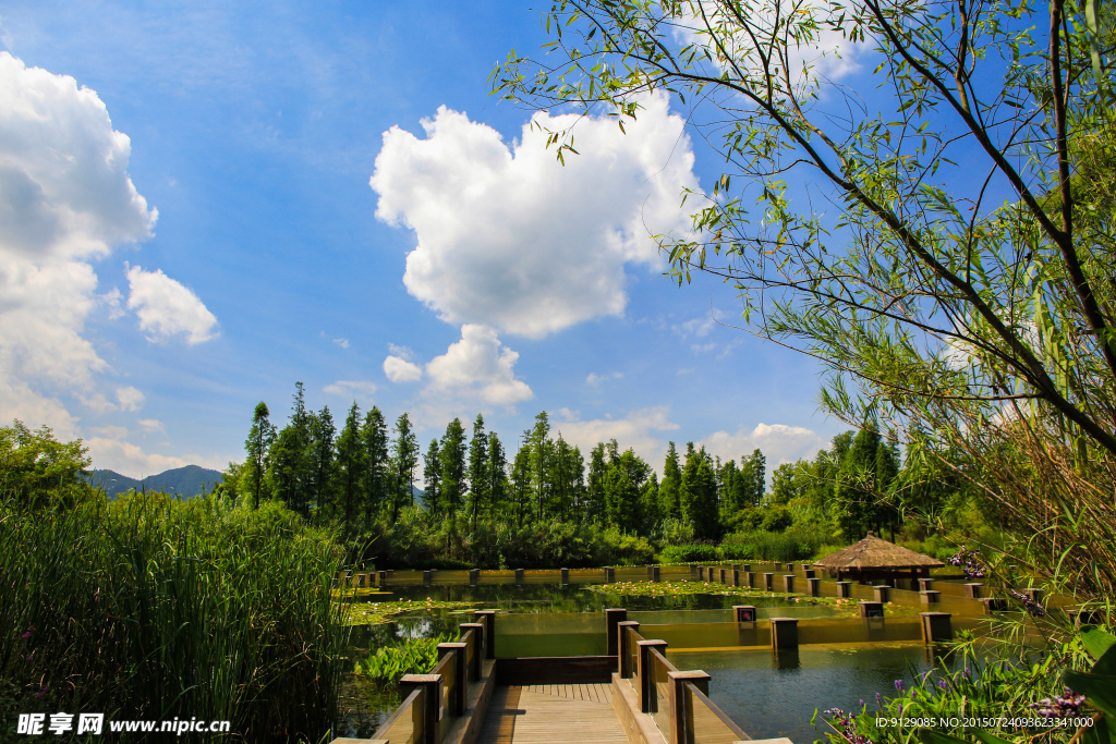 西溪湿地