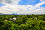 西溪湿地