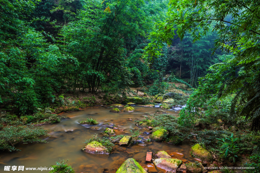 赤水四洞沟