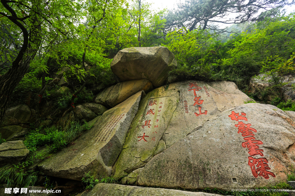 泰山