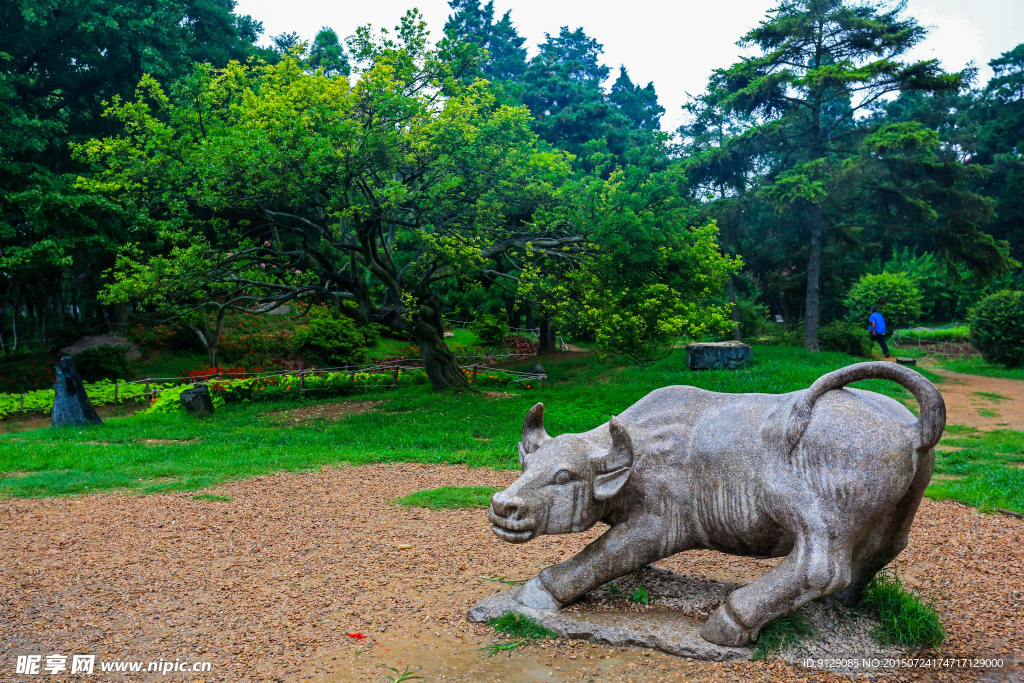 青岛中山公园