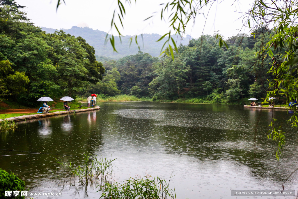 青岛中山公园