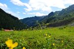 甘肃大峪国家森林公园