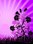 粉射线与黑花纹矢量图