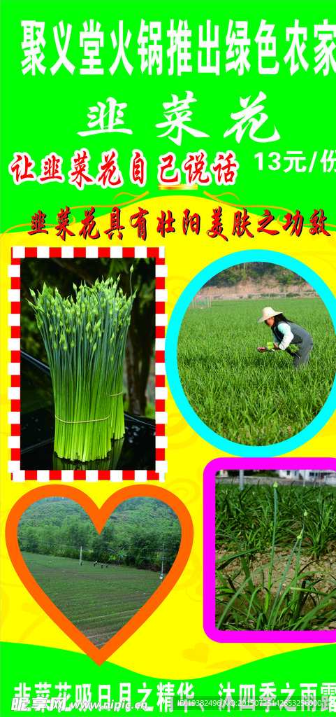韭菜花