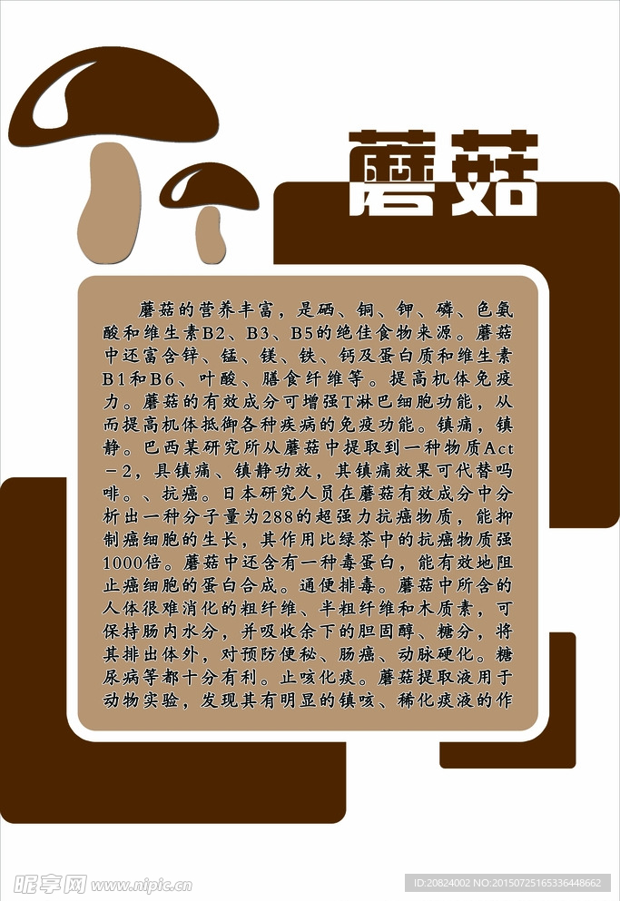 蘑菇营养价值
