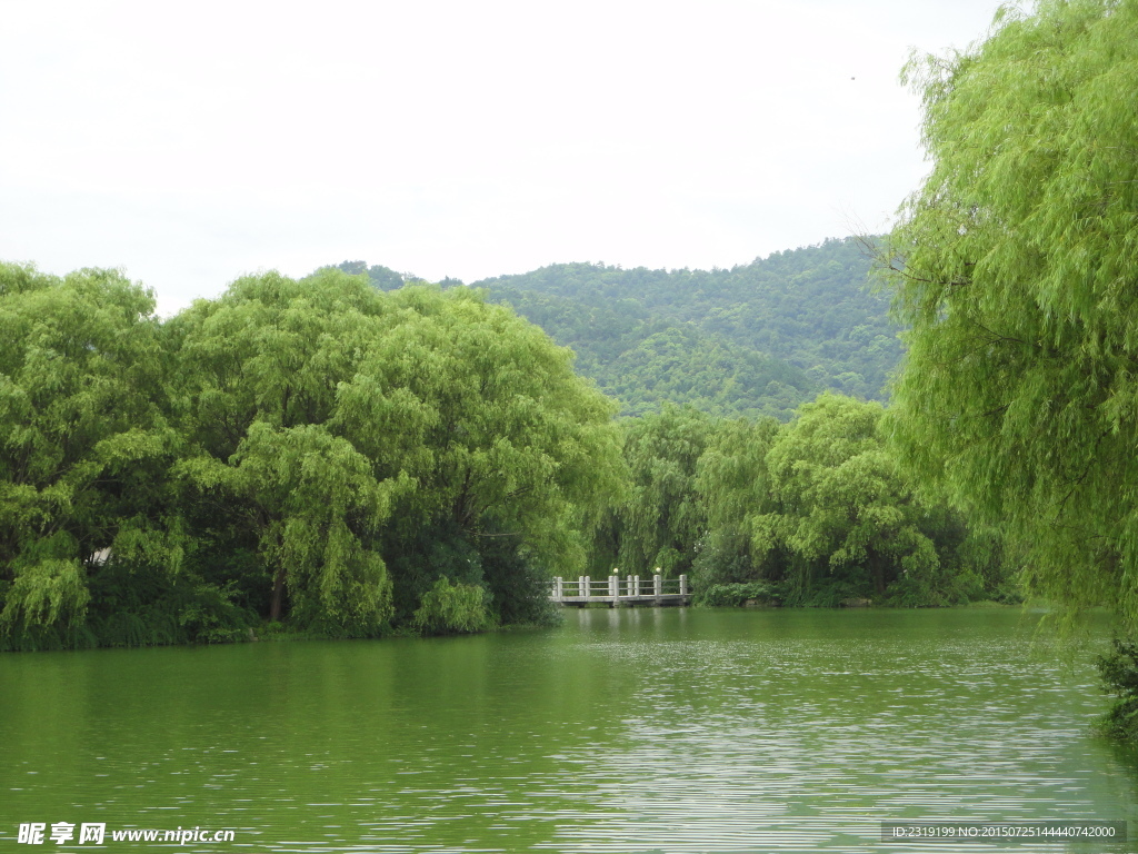 山清水秀