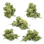 野生大麻