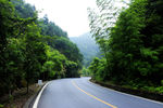 两座山下的公路