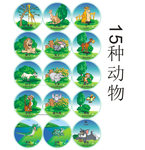 动物英文