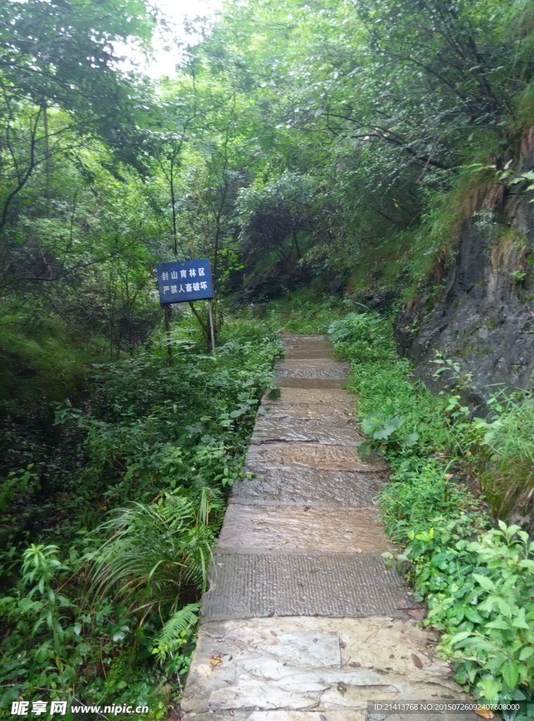 山路
