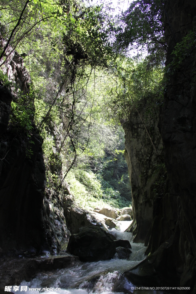 峡谷小溪