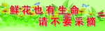 爱花护草