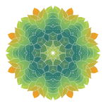 装饰花纹