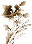 工笔兰花