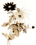 工笔花鸟